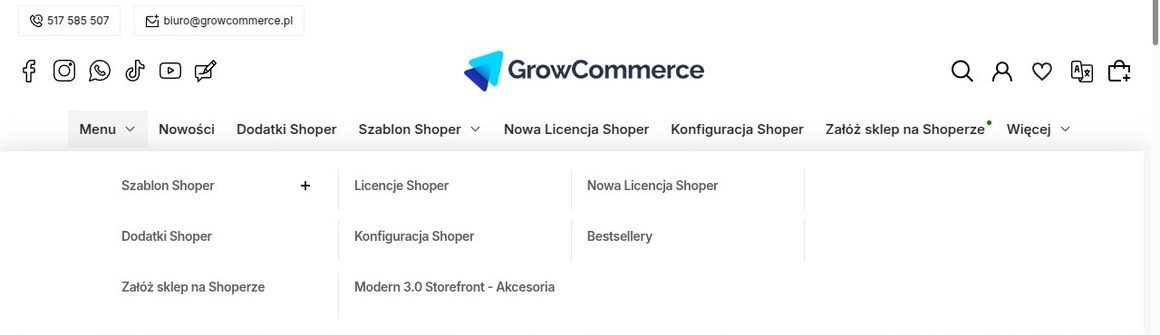 Mega menu w sklepie na Shoperze — rozwinięta struktura kategorii w wielu kolumnach